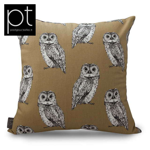 Owl Tawny (50x50)